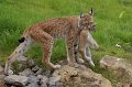 DSC00191