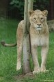 DSC00978