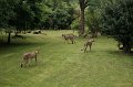 DSC01048