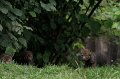 DSC01228