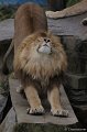 DSC03111