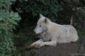 DSC03173