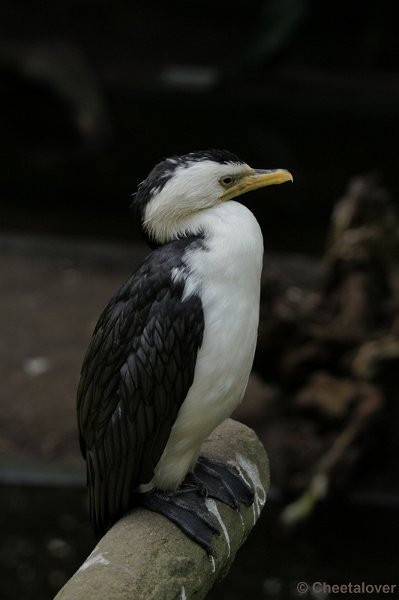 DSC05862.JPG