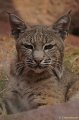 DSC06062kopie