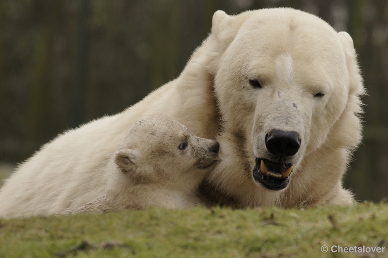 _DSC7672kopie.JPG - Mama pesten