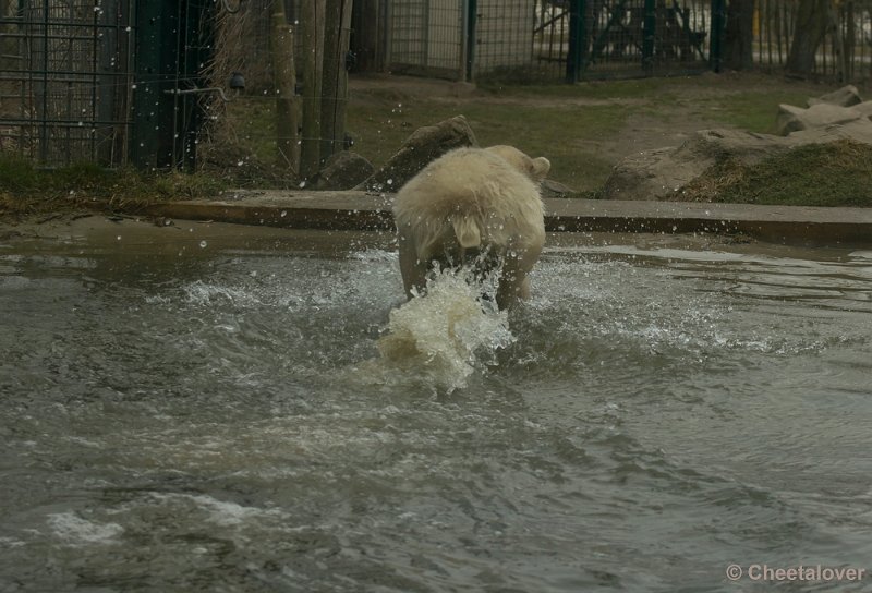 _DSC9948.JPG - Walk on water