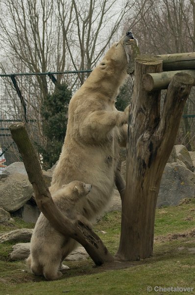 _DSC9966.JPG - 'Wat ben je aan het doen mama'