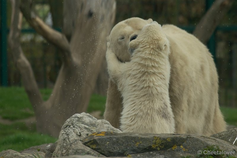 _DSC0789.JPG - I love you mama