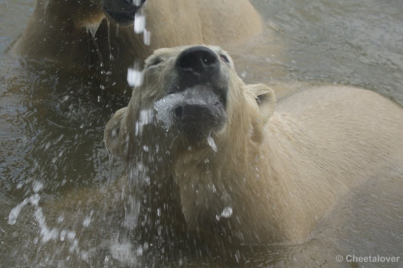 _DSC7081.JPG - Nog meer dorst!!