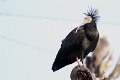 _DSC6551kopie