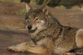 _DSC6635kopie
