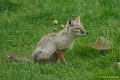 _DSC3867-2