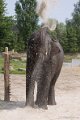 _DSC7445