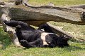 _DSC7470
