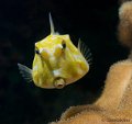_DSC8388