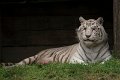 _DSC8622