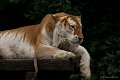 _DSC8624