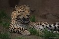 _DSC8670