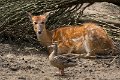 _DSC8851