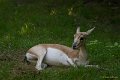 _DSC0108