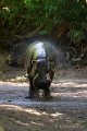 _DSC0110