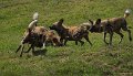 _DSC0178