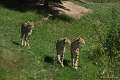 _DSC0194