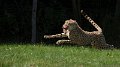 _DSC0240