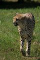 _DSC0254