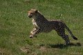 _DSC0272