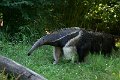 _DSC0343