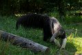 _DSC0349