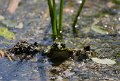 _DSC0480