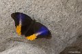 _DSC5580