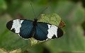 _DSC5591