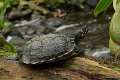 _DSC5746