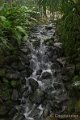 _DSC5793