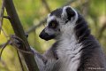 _DSC0936