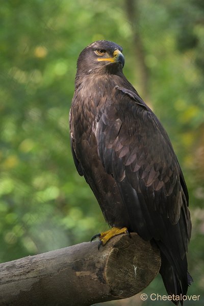 _DSC8850.JPG - Kasteelpark Born