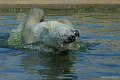 _DSC5319