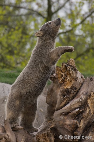 _DSC7123.JPG - Groot ben ik he