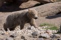 _DSC7907