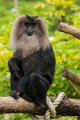 _DSC0779