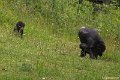 _DSC0912
