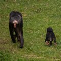 _DSC0927