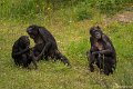 _DSC0939