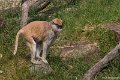 _DSC1045