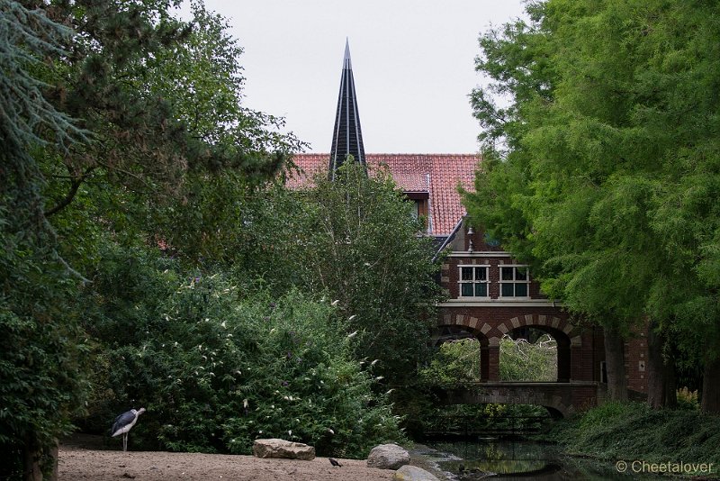 _DSC4373.JPG - Het Park