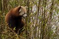 _DSC4726