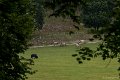 _DSC5679